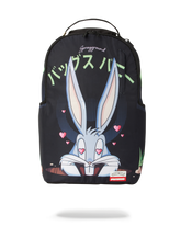 BUGS: KARATZ ARE DEVINE BACKPACK